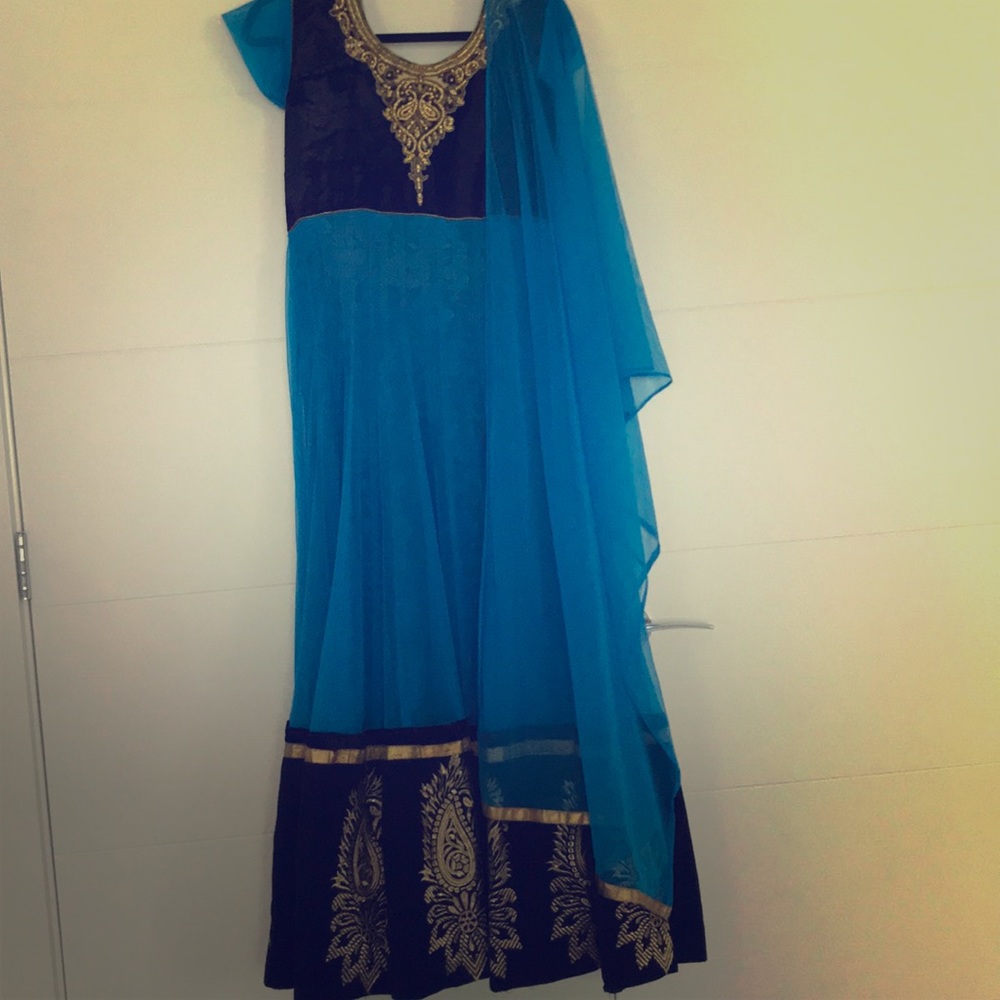 Gorgeous Indian long net dress Size L-XL